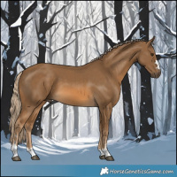 Horse Color:Chocolate Palomino