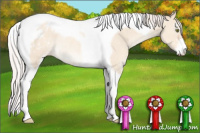 Horse Color:Silver Amber Champagne Dun Sabino Tobiano Appaloosa Rabicano 