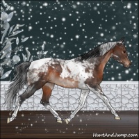 Horse Color:Brown Sabino Tobiano