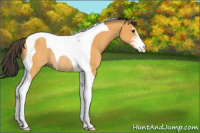 Horse Color:Buckskin Sabino Tobiano Rabicano