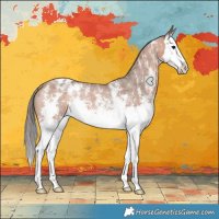 Horse Color:Bay Sabino Splash Varnish Rabicano 