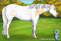 Horse Color:White Spotted Silver Amber Cream Champagne Ice Splash Tobiano Frame Appaloosa Rabicano