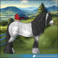 Horse Color:Blue Roan Frame 