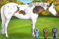 Horse Color:Silver Smoky Black Splash Tobiano Blanket 