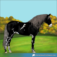 Horse Color:Grullo Near Fewspot 