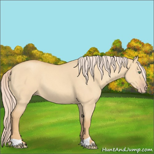 Horse Color:Gold Cream Champagne Dun