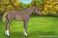 Horse Color:Chestnut Ice Tobiano