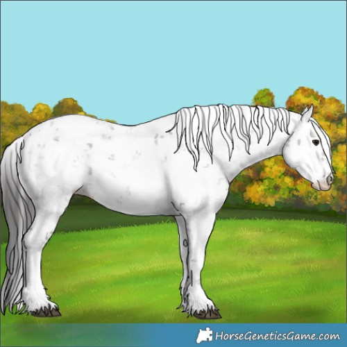 Horse Color:Smoky Grullo Sabino Rabicano 