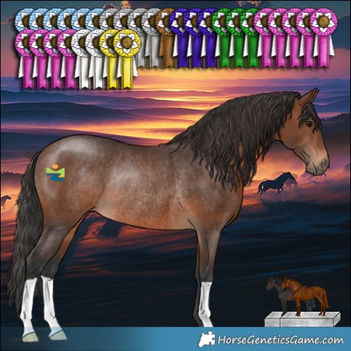 Horse Color:Brown Rabicano 