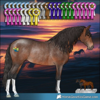 Horse Color:Brown Rabicano 