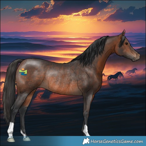 Horse Color:Brown Rabicano 