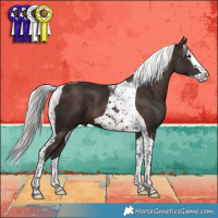 Horse Color:Silver Brown Splash Tobiano 