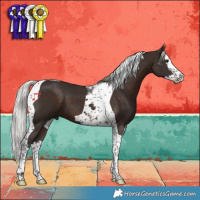 Horse Color:Silver Brown Splash Tobiano 