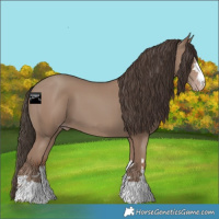 Horse Color:Classic Champagne