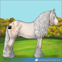 Horse Color:Silver Classic Champagne Varnish Rabicano 