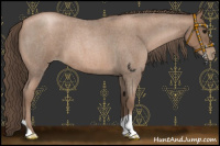 Horse Color:Blue Roan Pearl 