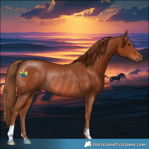 Horse Color:Chestnut Rabicano 