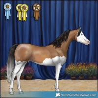 Horse Color:Gray Amber Champagne Splash 