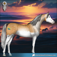 Horse Color:Gray Amber Cream Champagne Splash 