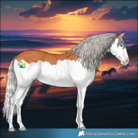 Horse Color:Silver Bay Splash Rabicano 