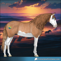 Horse Color:Chestnut Splash Rabicano 