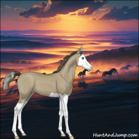 Horse Color:Classic Cream Champagne Splash 