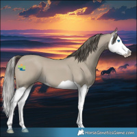 Horse Color:Classic Cream Champagne Splash 