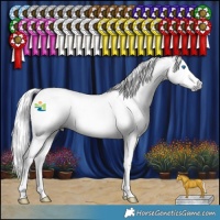 Horse Color:Gray Amber Cream Champagne Splash 