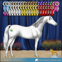 Horse Color:Gray Amber Cream Champagne Splash 