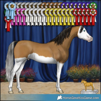 Horse Color:Gray Amber Cream Champagne Splash 