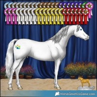 Horse Color:Gray Amber Cream Champagne Splash 