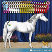 Horse Color:Gray Amber Cream Champagne Splash