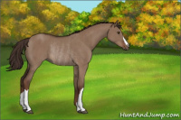 Horse Color:Liver Red Dun Rabicano 