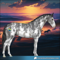 Horse Color:Black Sabino 