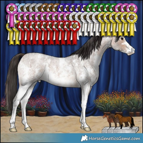 Horse Color:Bay Roan Sabino 