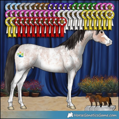 Horse Color:Bay Roan Sabino 