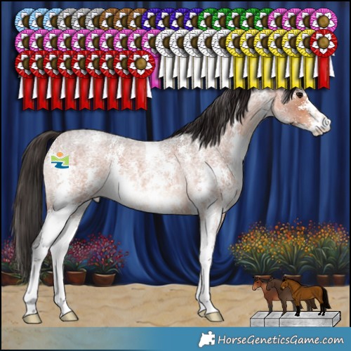 Horse Color:Bay Roan Sabino 