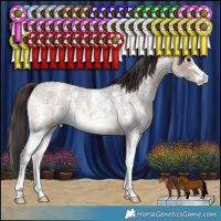 Horse Color:Bay Roan Sabino