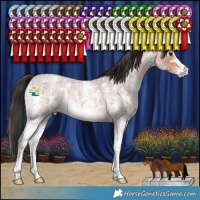 Horse Color:Bay Roan Sabino