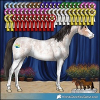 Horse Color:Bay Roan Sabino 