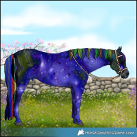 Horse Color:ERROR: UNKNOWN ANOMALY