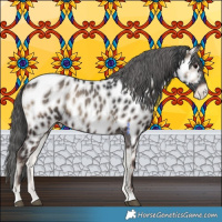 Horse Color:Blue Onyx Near Leopard 