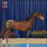 Horse Color:Liver Chestnut Tobiano 