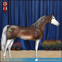 Horse Color:Silver Brown Splash