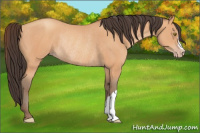 Horse Color:Amber Champagne Rabicano 