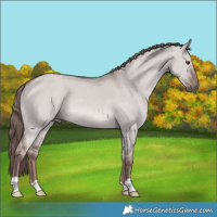 Horse Color:Platinum Red Dun 