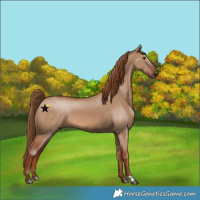 Horse Color:Red Dun 