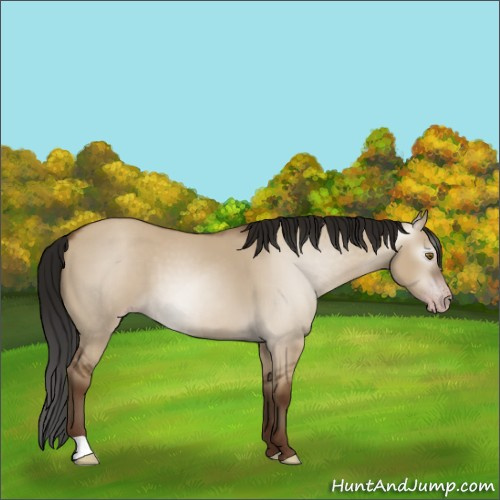 Horse Color:Gray Classic Champagne Dun 