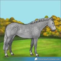 Horse Color:Silver Grullo Chinchilla 
