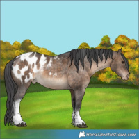 Horse Color:Brown Dun Tobiano Blanket Brindle 